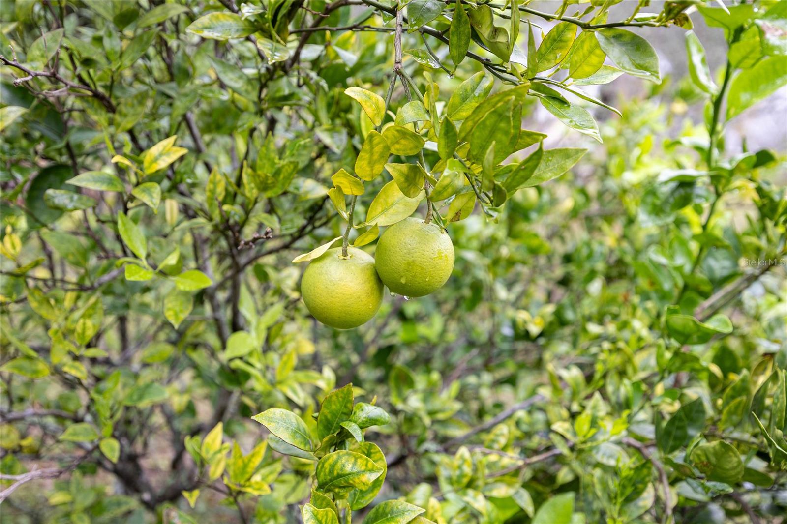 Image 72 of 100 For 7 55th Street