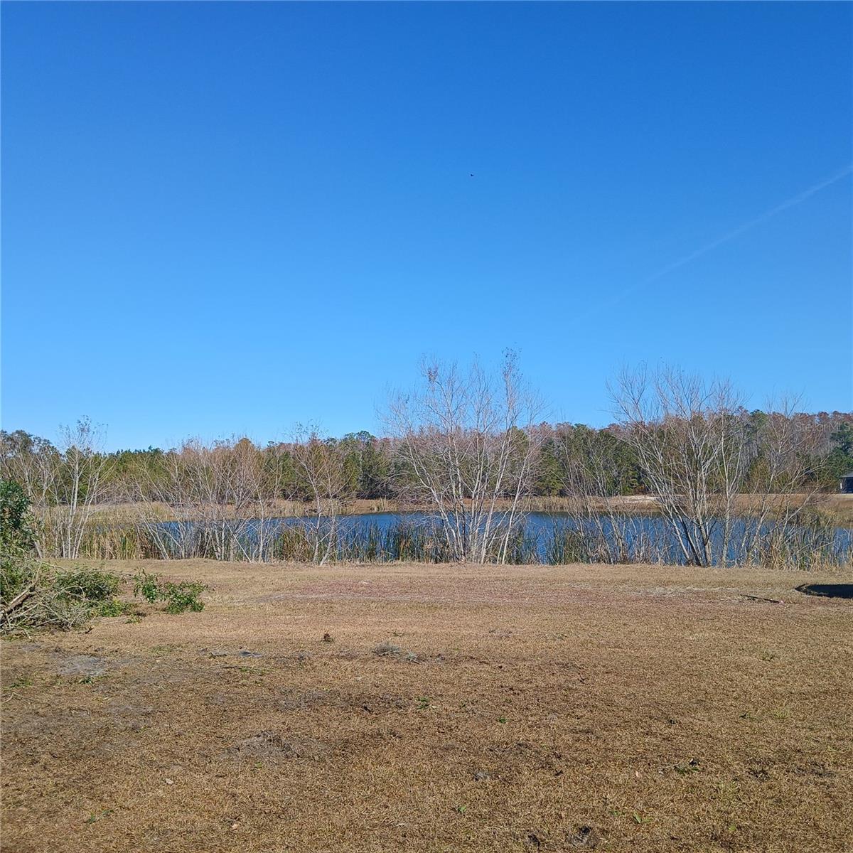 Image 13 of 23 For 281 Silver Palm Drive