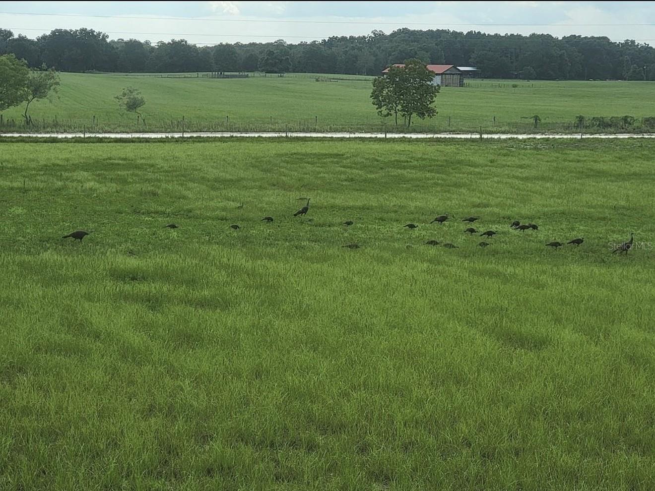 Listing photo id 31 for 10020 7th Terrace