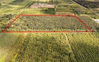 Image 10 of 12 For 601 Howard Avenue