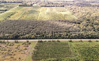 Image 11 of 12 For 601 Howard Avenue