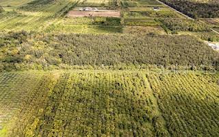 Image 9 of 12 For 601 Howard Avenue