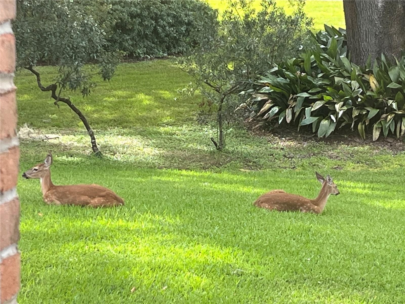 Image 68 of 74 For 12047 1st Lane