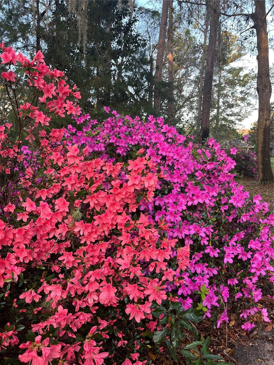 Image 69 of 74 For 12047 1st Lane