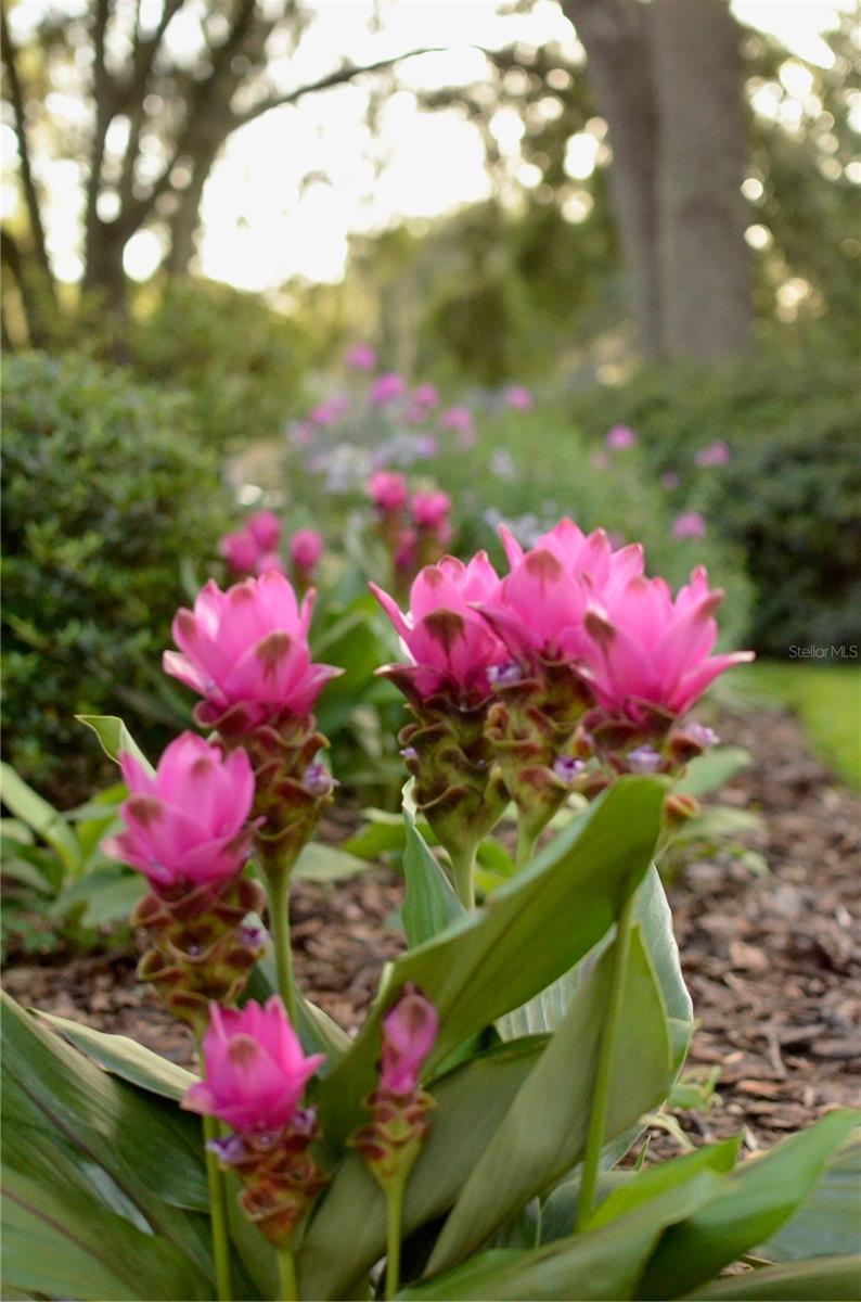 Image 70 of 74 For 12047 1st Lane