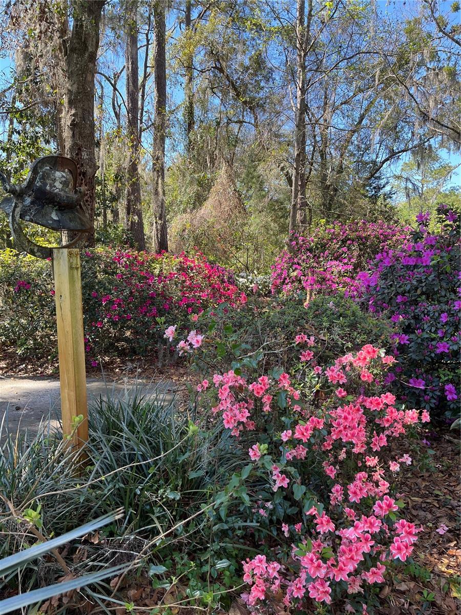 Image 71 of 74 For 12047 1st Lane