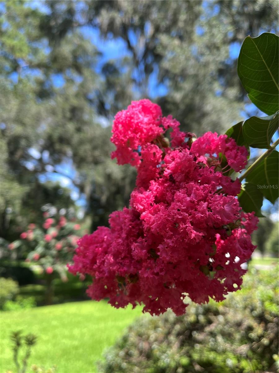 Image 72 of 74 For 12047 1st Lane