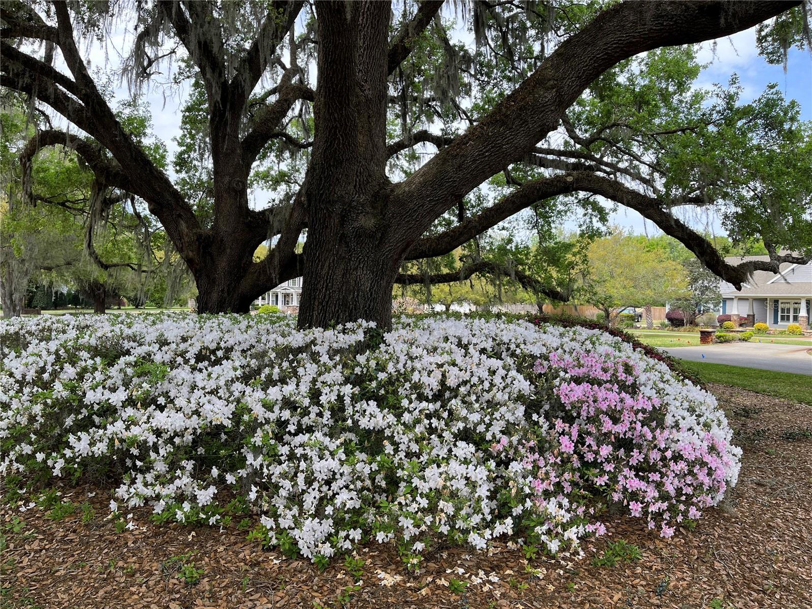 Image 73 of 74 For 12047 1st Lane