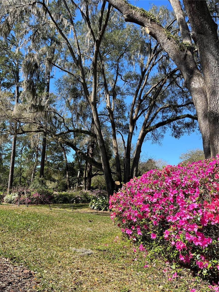 Image 74 of 74 For 12047 1st Lane