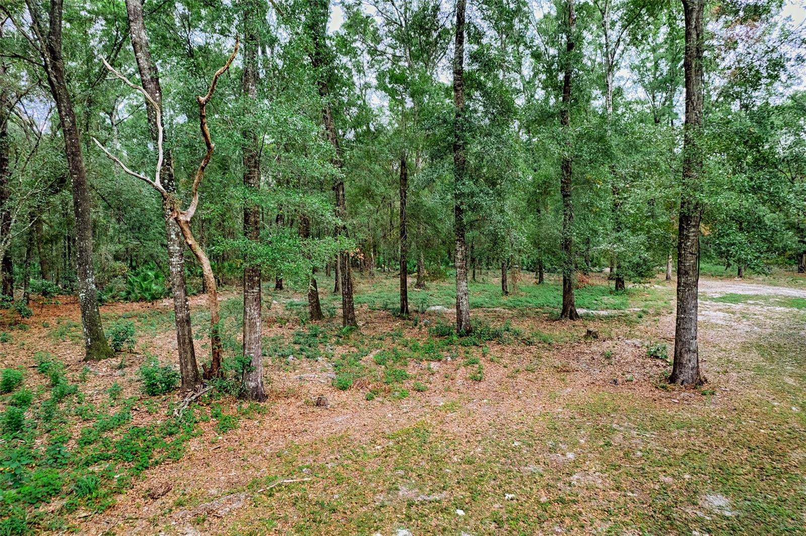 Image 29 of 35 For 7191 154th Lane