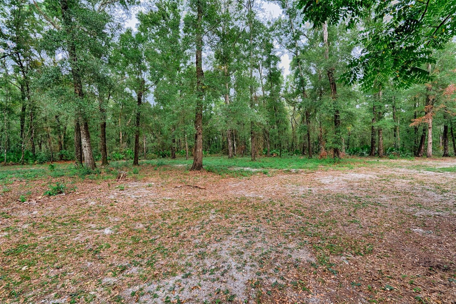 Image 31 of 35 For 7191 154th Lane