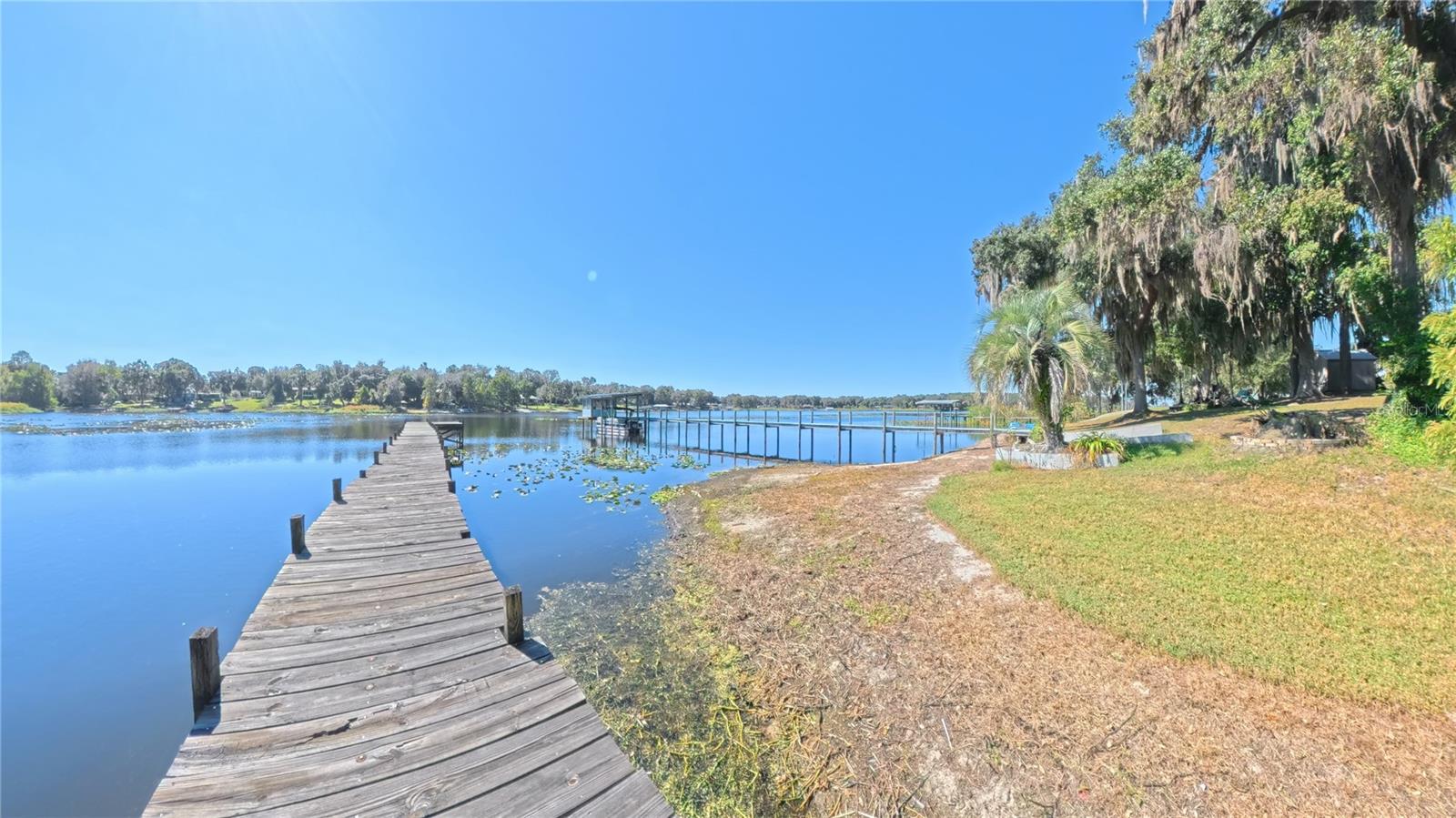 Image 20 of 30 For 125 Ann Street