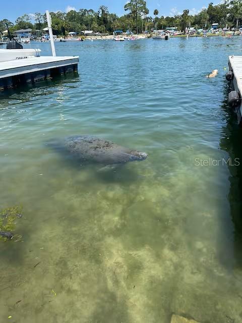 Image 25 of 29 For 30 Valare Lane 102b