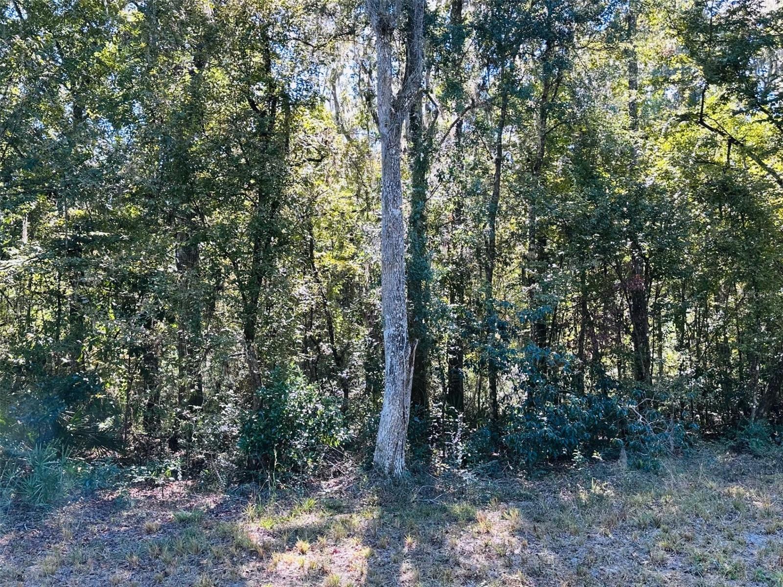 Image 3 of 5 For 0 86 Street