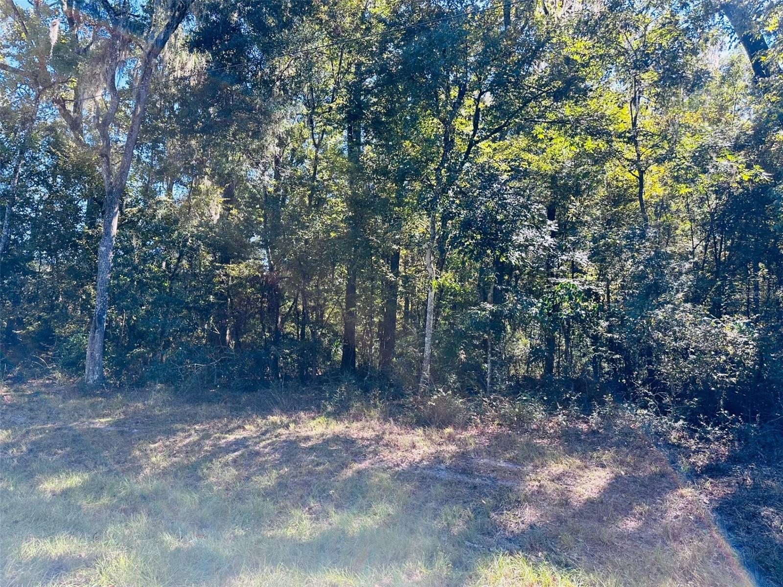 Image 4 of 5 For 0 86 Street