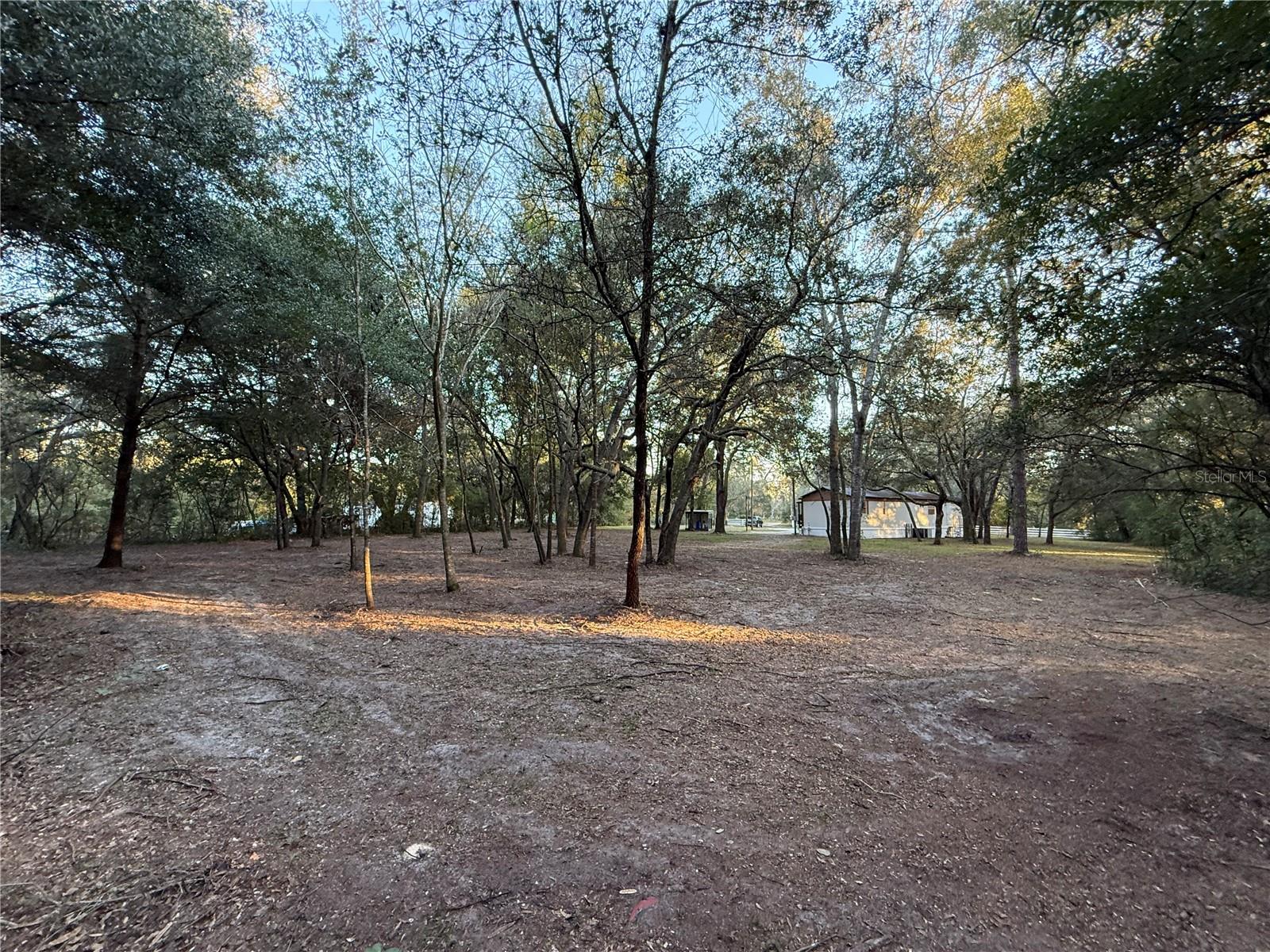 Image 28 of 39 For 8171 117th Place