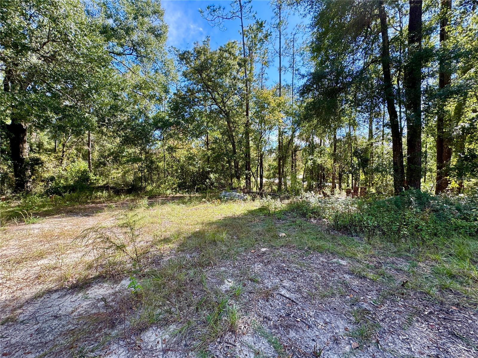 Image 13 of 15 For Lot 46 Kentucky Street