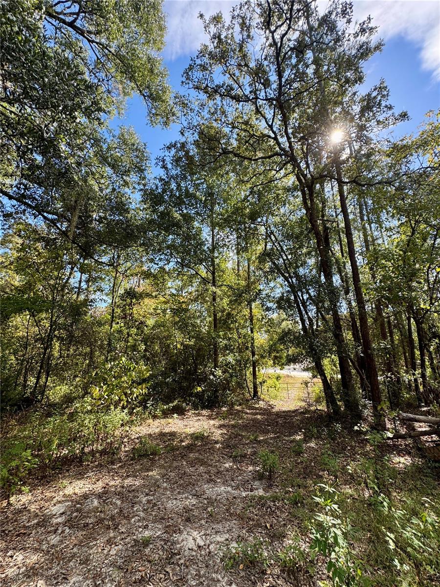 Image 14 of 15 For Lot 46 Kentucky Street