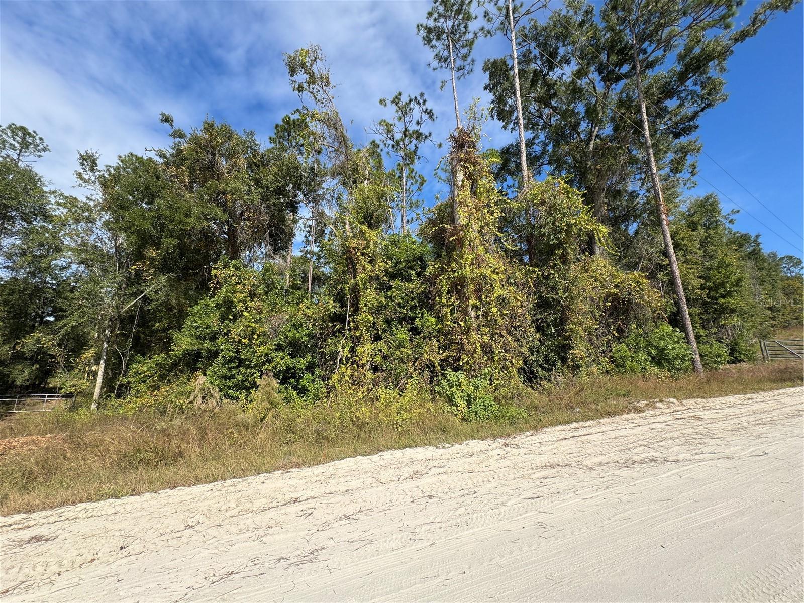 Details for Lot 45 Kentucky Street, FORT WHITE, FL 32038