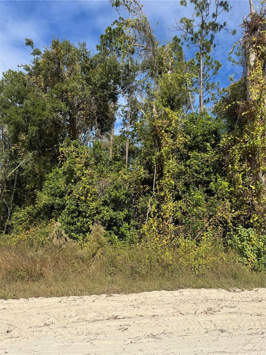 Image 2 of 14 For Lot 45 Kentucky Street