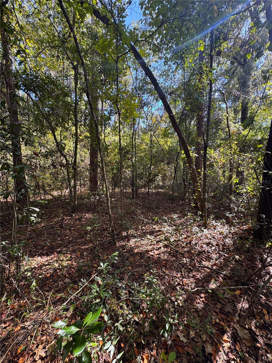 Image 4 of 14 For Lot 45 Kentucky Street