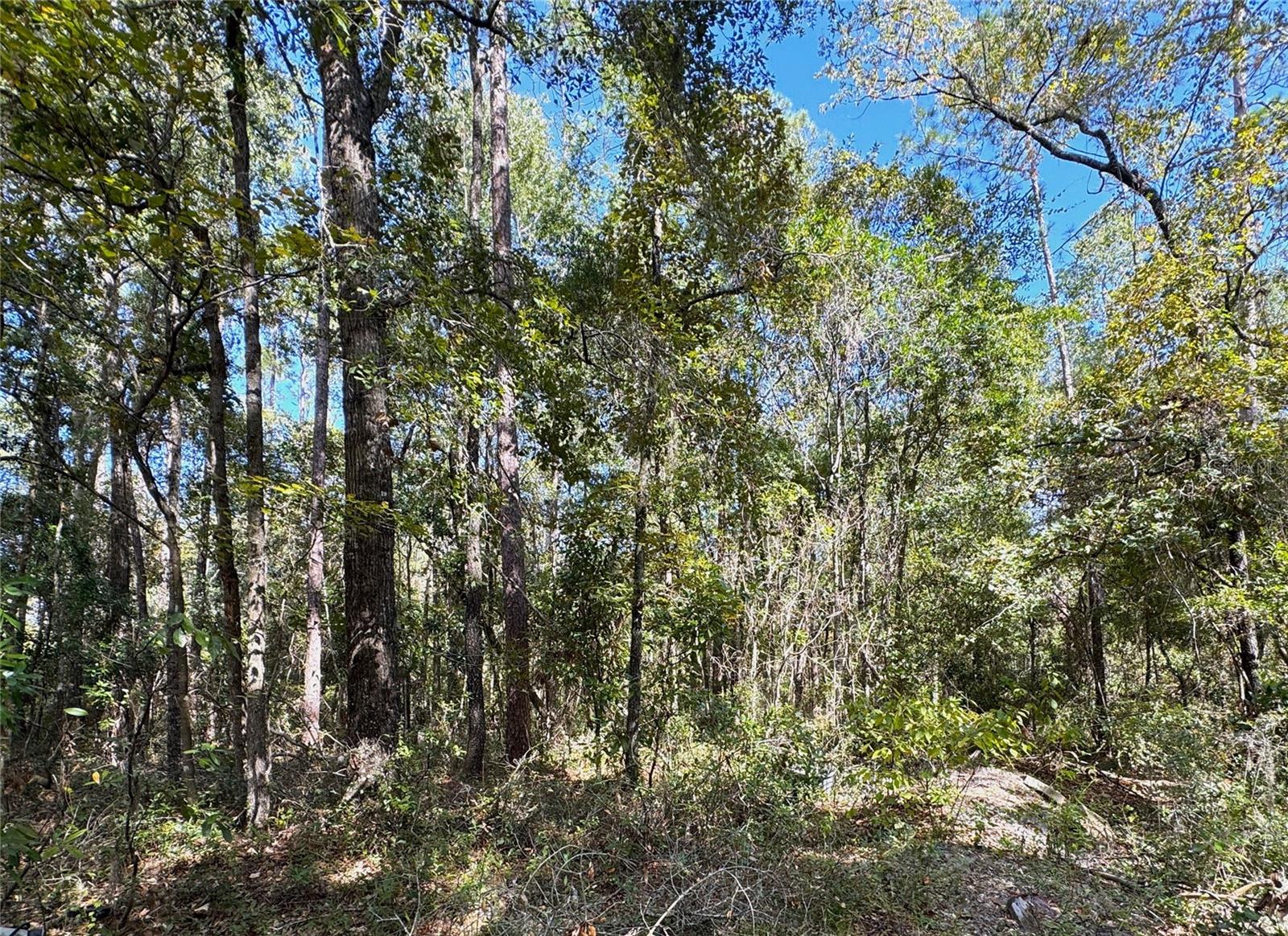 Image 6 of 14 For Lot 45 Kentucky Street