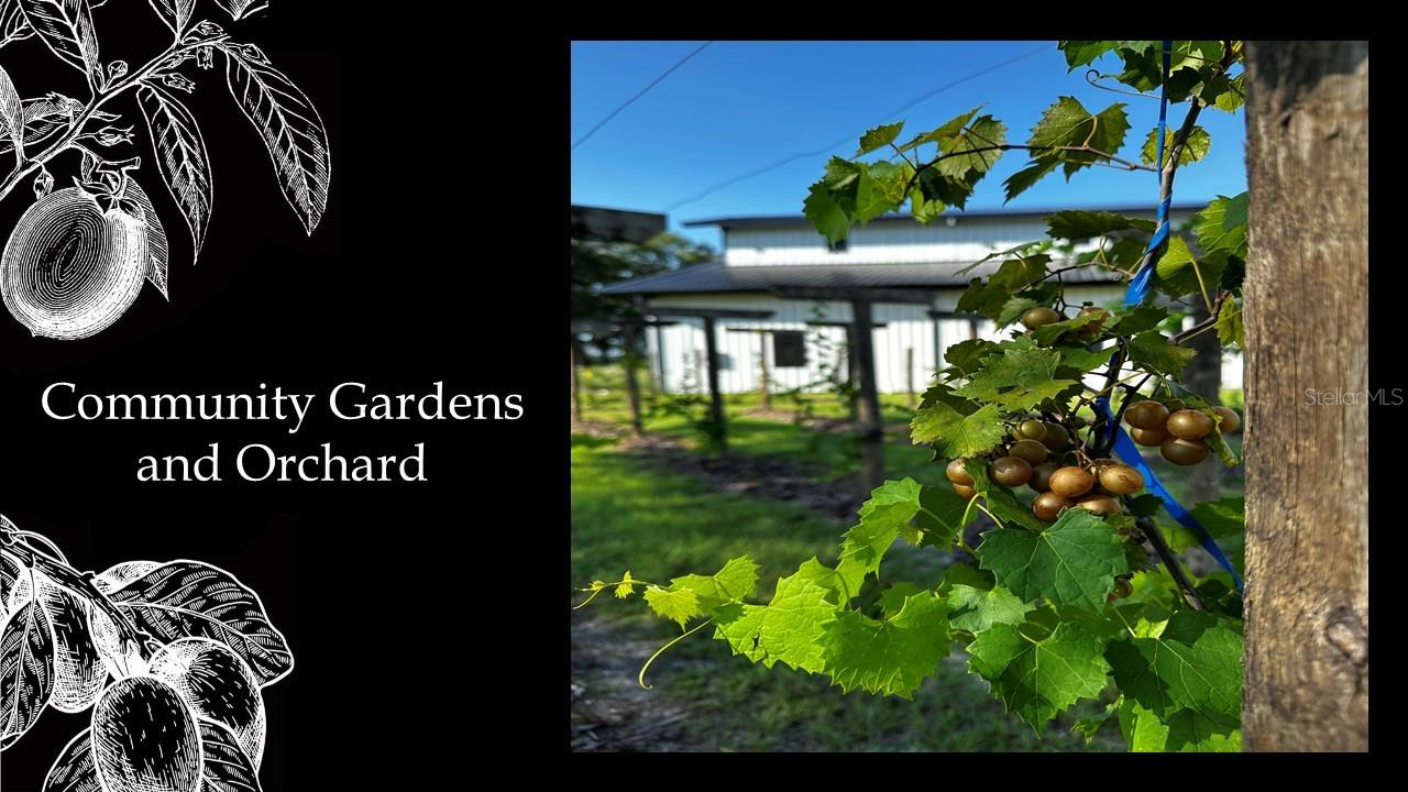 Image 15 of 20 For 5430 125th Circle