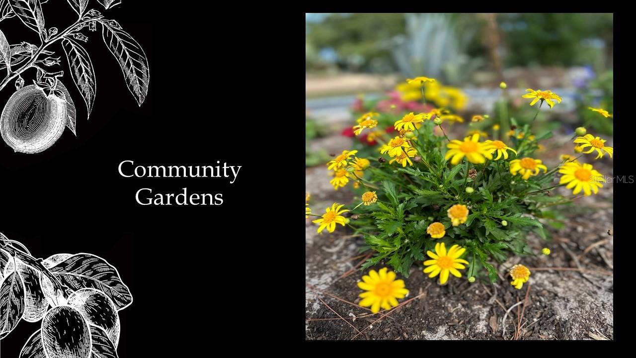 Image 18 of 20 For 5562 125th Circle