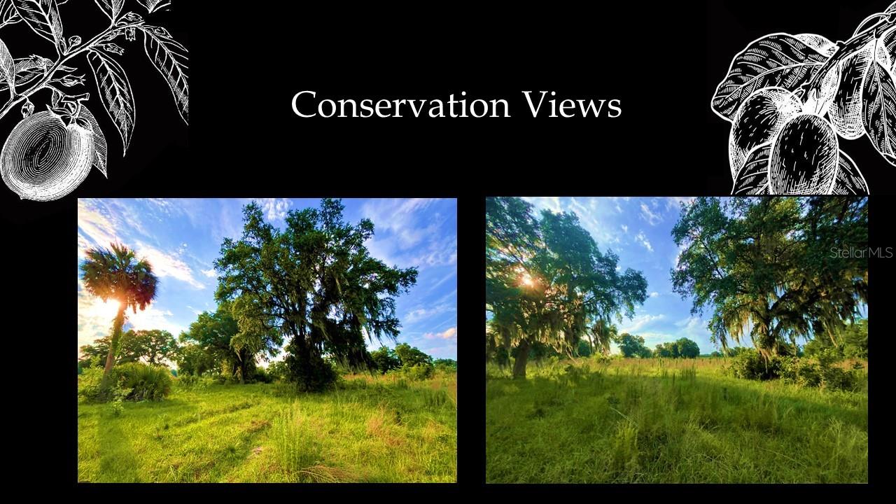 Image 4 of 20 For 5501 125th Circle