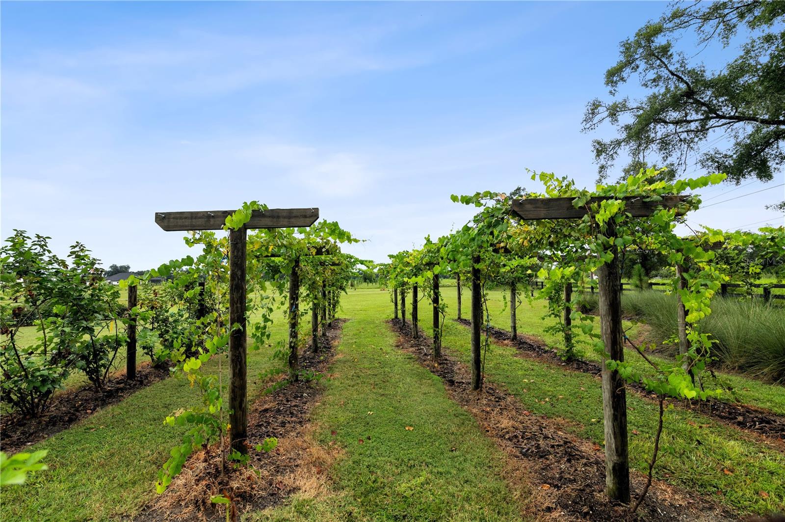 Image 20 of 25 For 12522 58th Circle