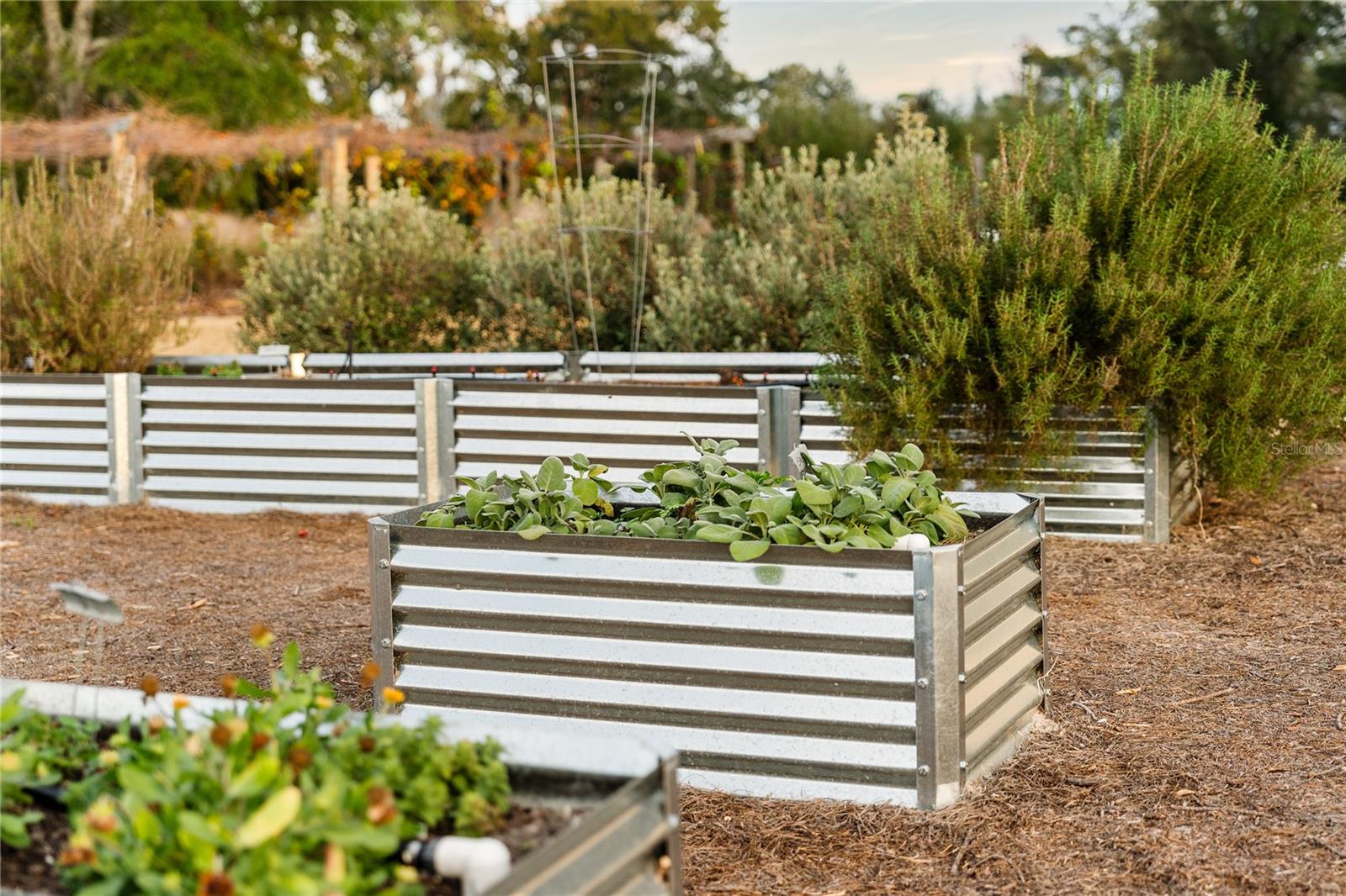 Image 21 of 25 For 12522 58th Circle