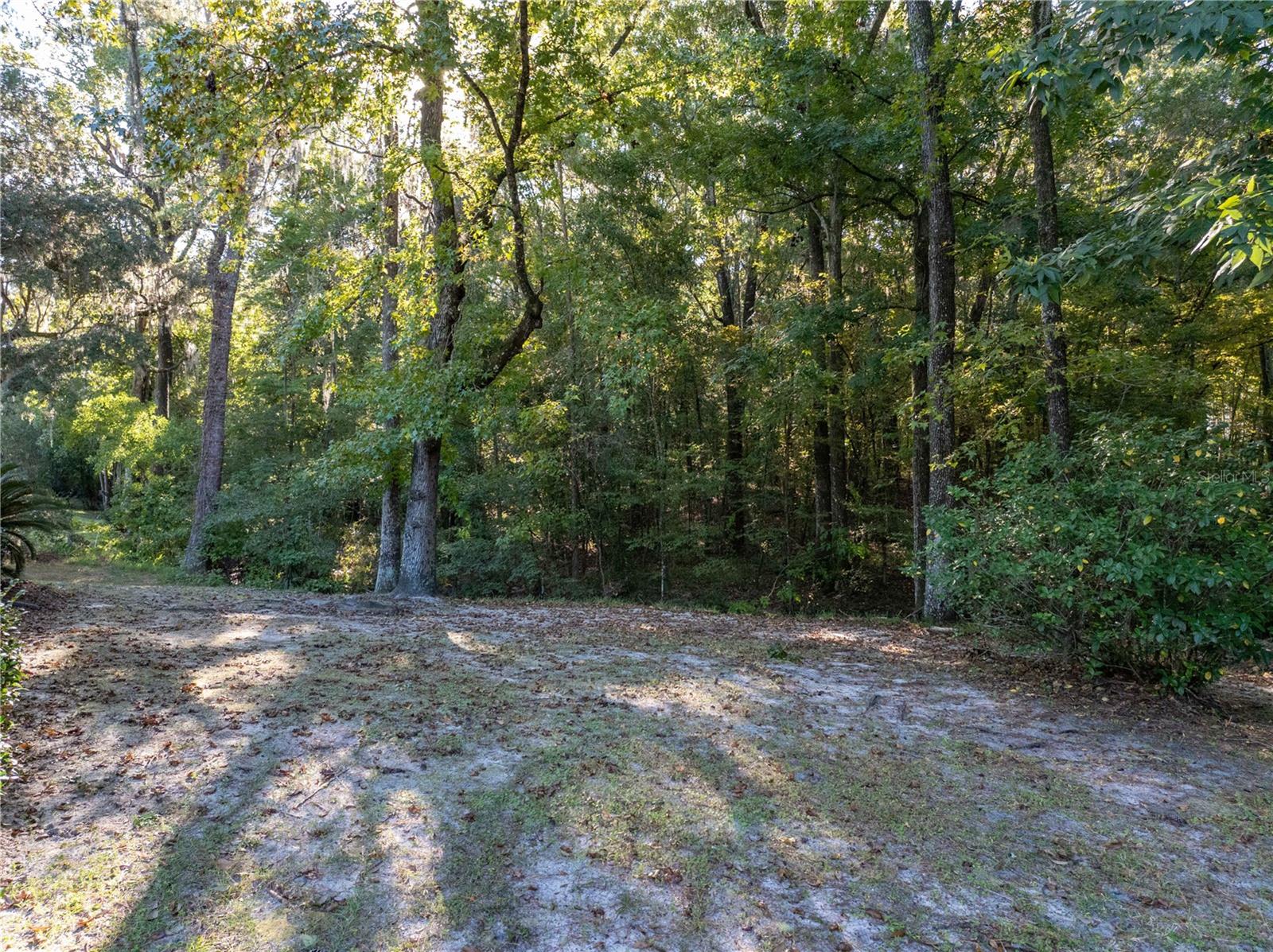 Listing photo id 45 for 6241 105th Avenue