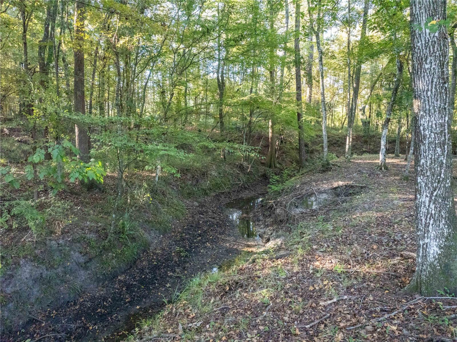 Listing photo id 47 for 6241 105th Avenue