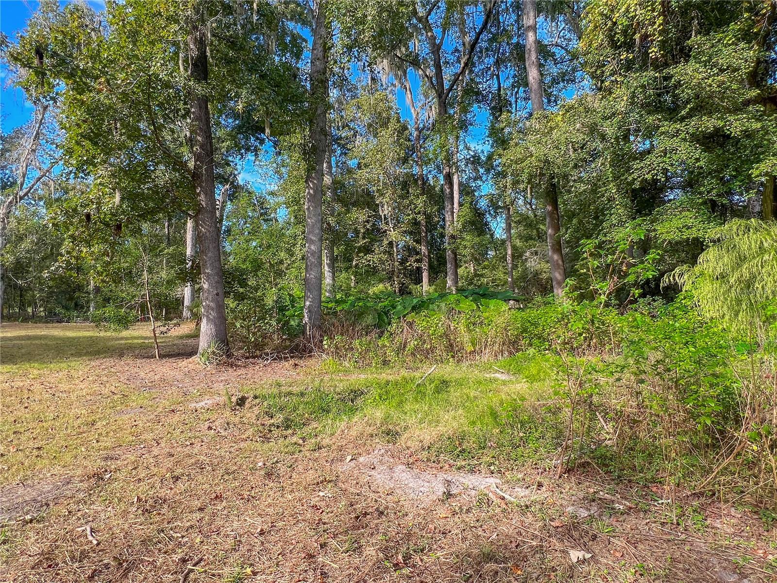 Image 14 of 44 For 4419 69th Street