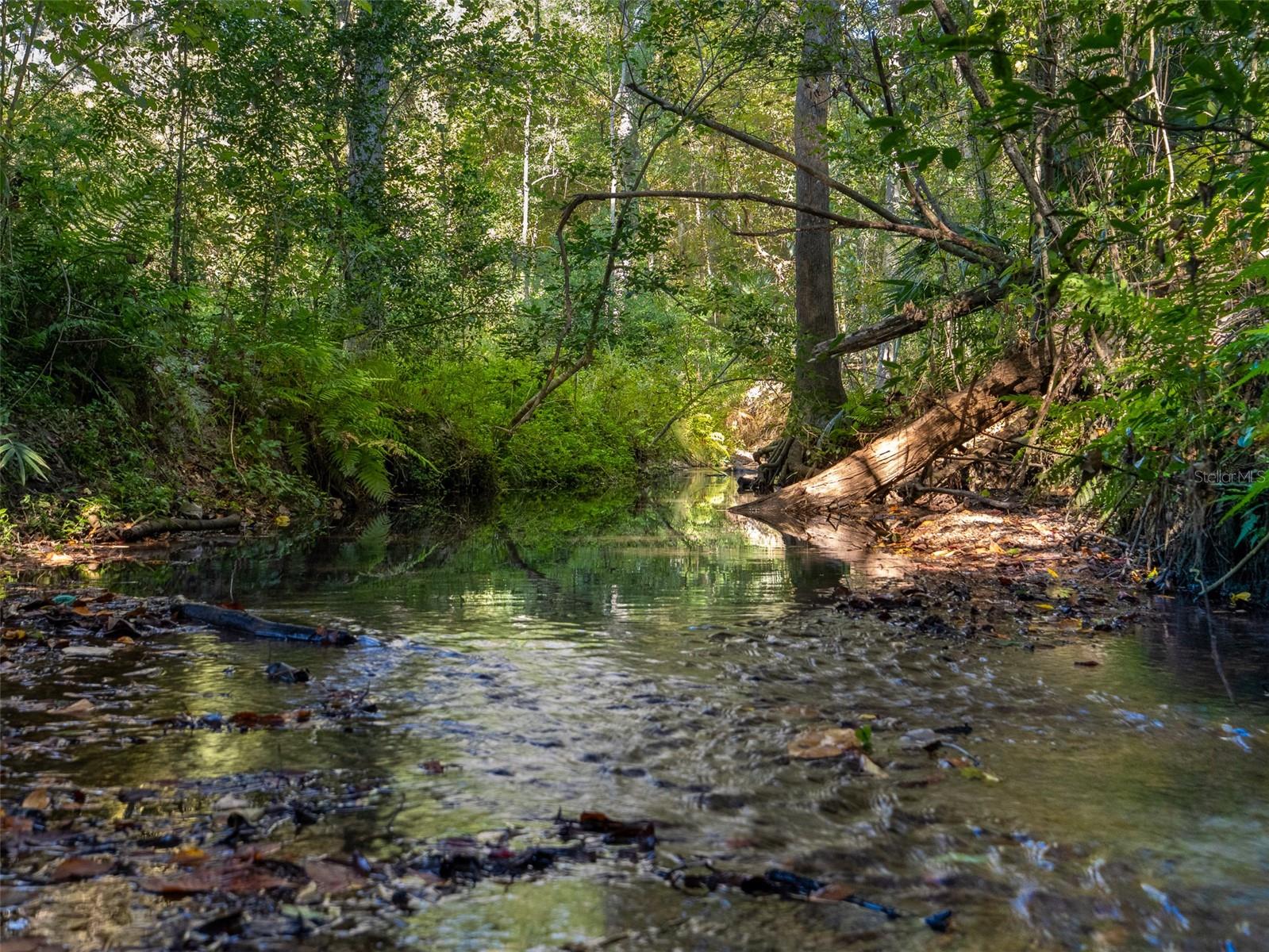 Image 32 of 39 For 3619 38th Street