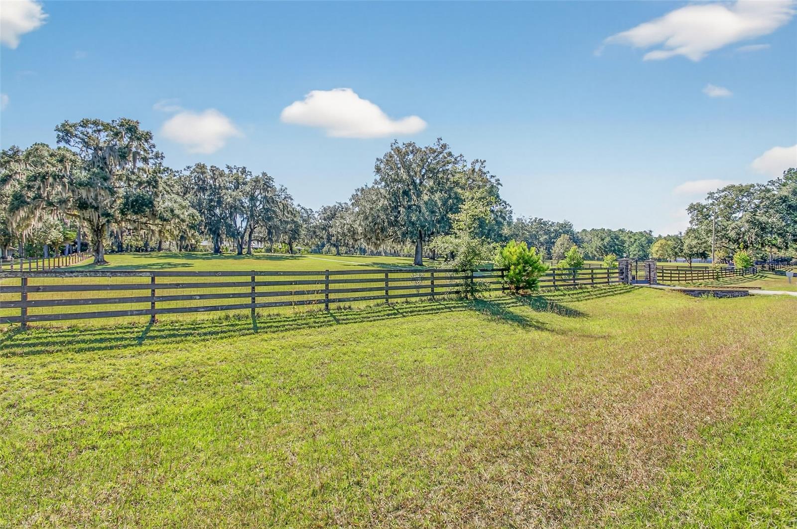 Listing photo id 72 for 12903 112th Avenue