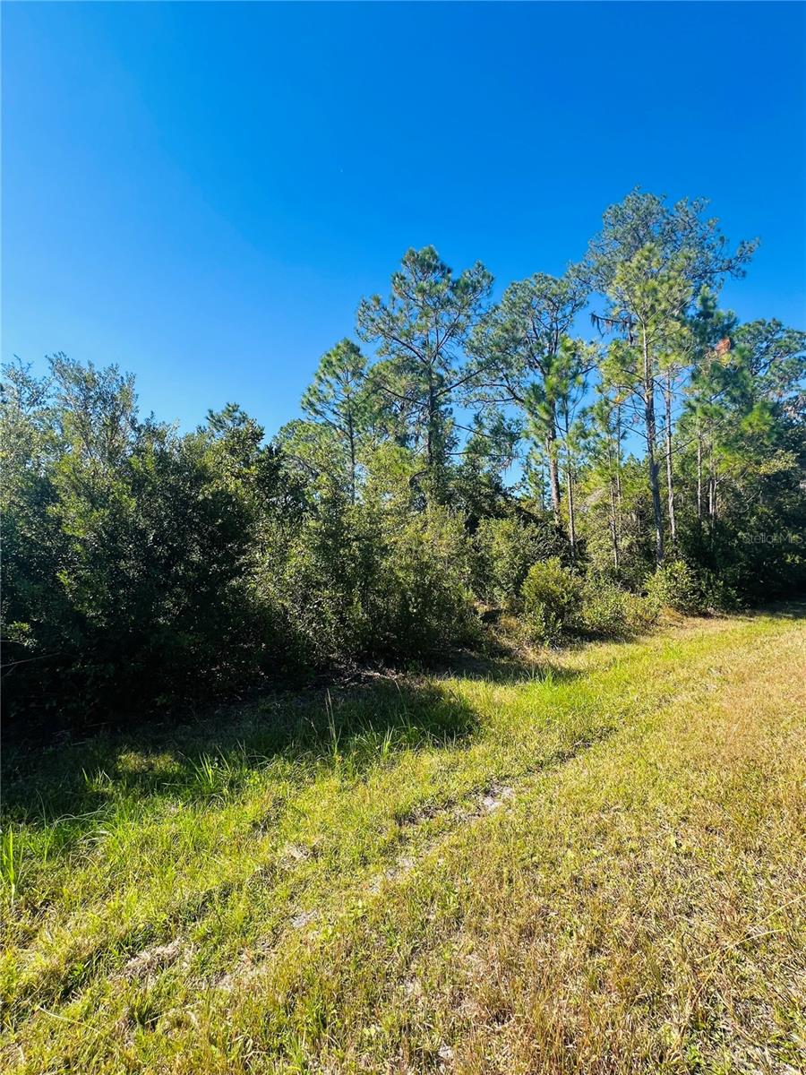 Image 2 of 8 For 13920 204th Terrace