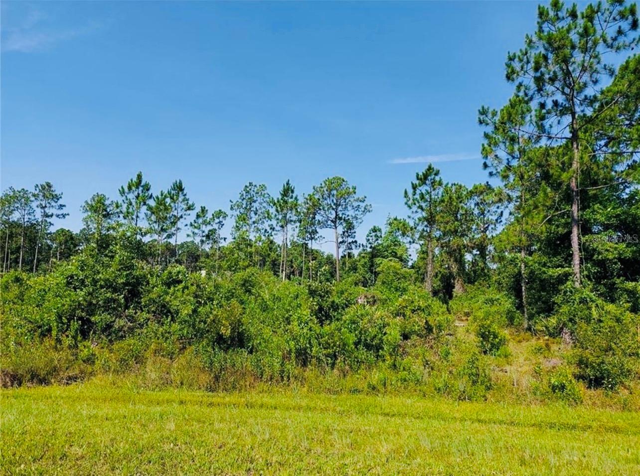 Image 3 of 8 For 13920 204th Terrace