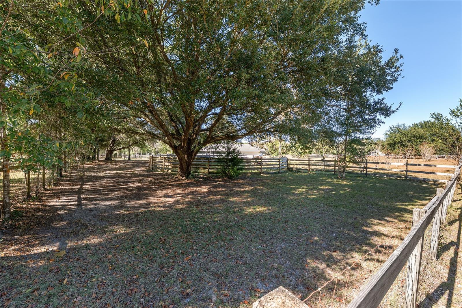 Image 29 of 32 For 9128 238th Street