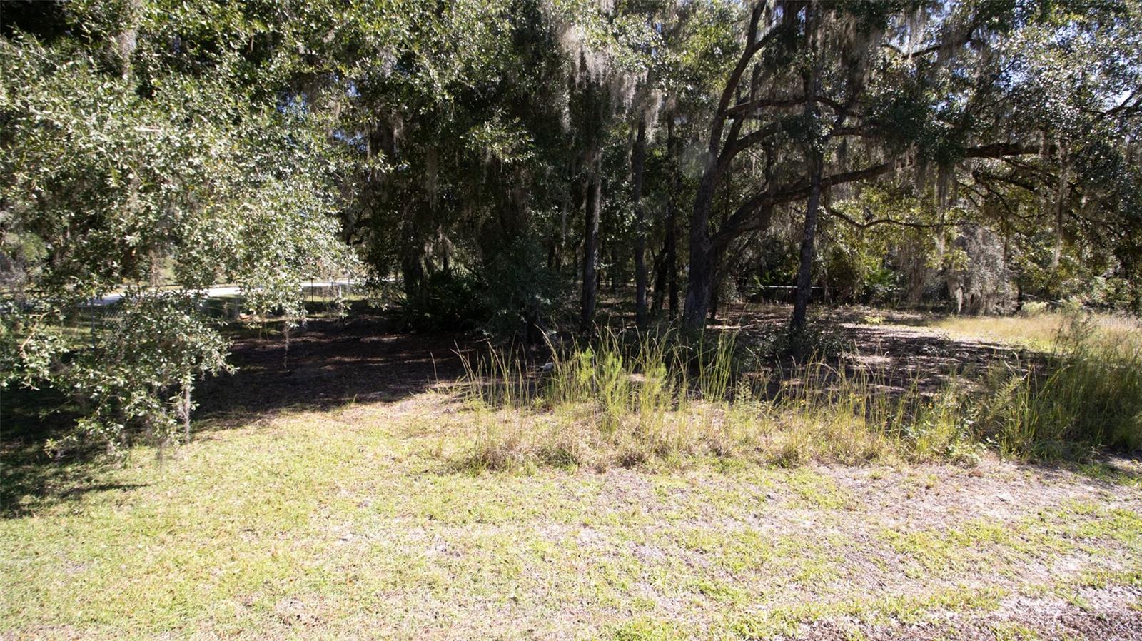 Image 42 of 50 For 103 Magnolia Street