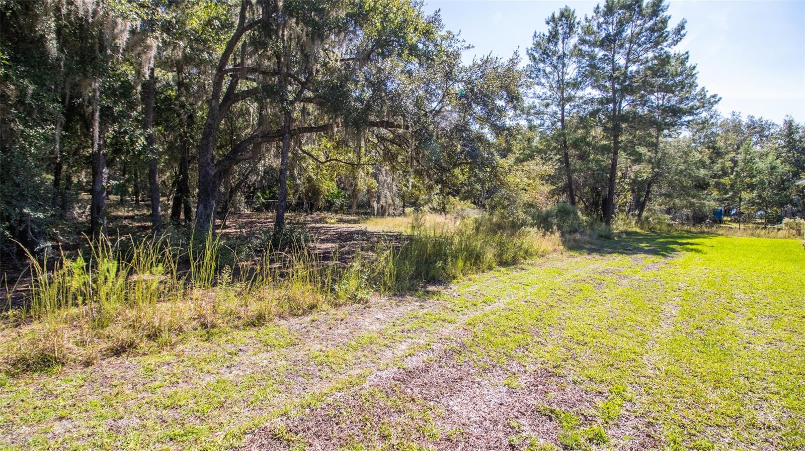 Image 43 of 50 For 103 Magnolia Street