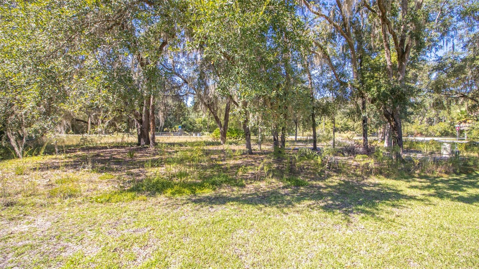 Image 48 of 50 For 103 Magnolia Street