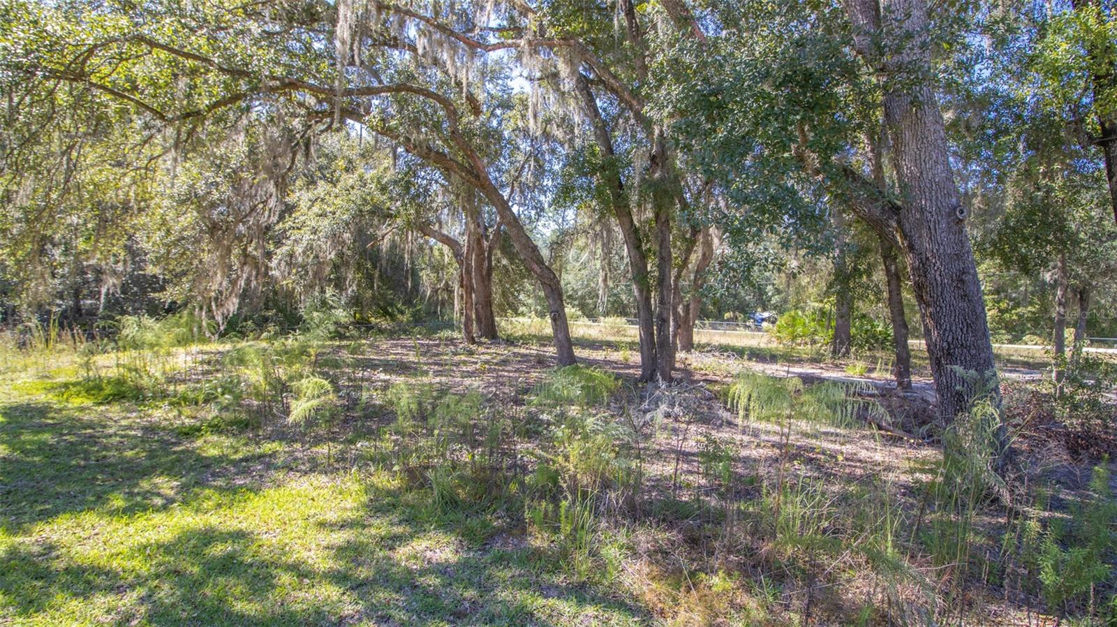 Image 50 of 50 For 103 Magnolia Street