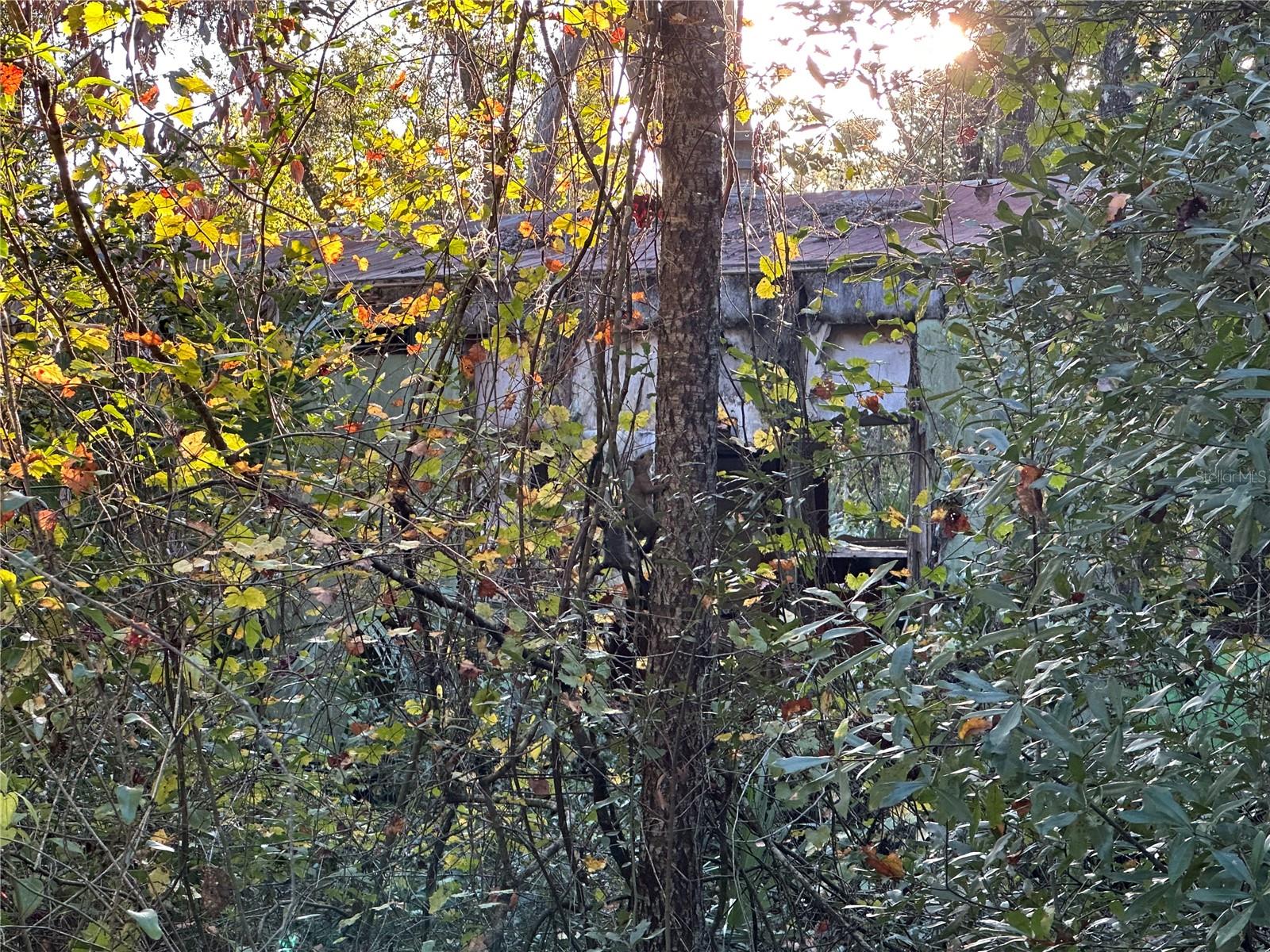 Details for 150 926th Street, OLD TOWN, FL 32680