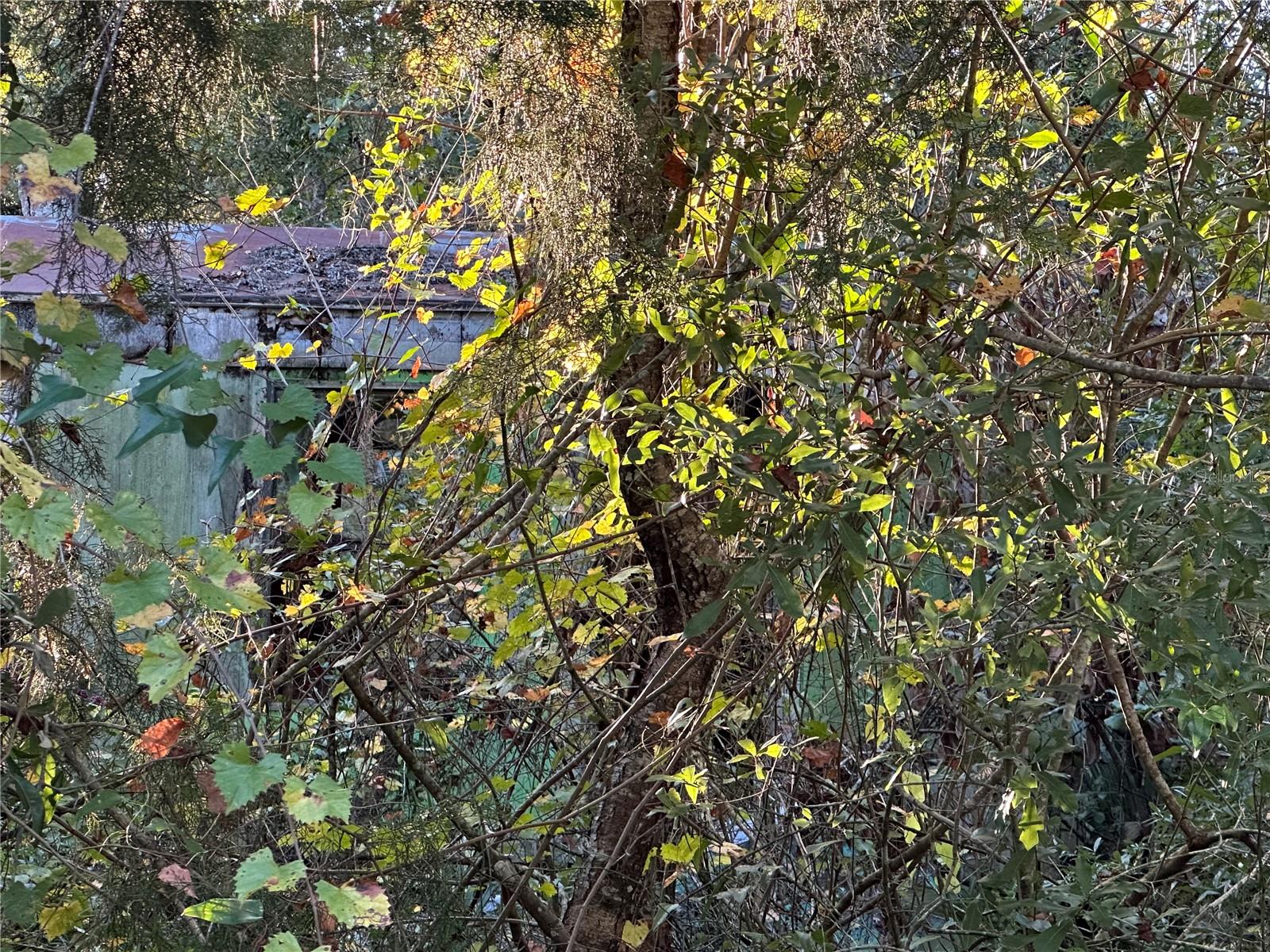 Image 3 of 3 For 150 926th Street