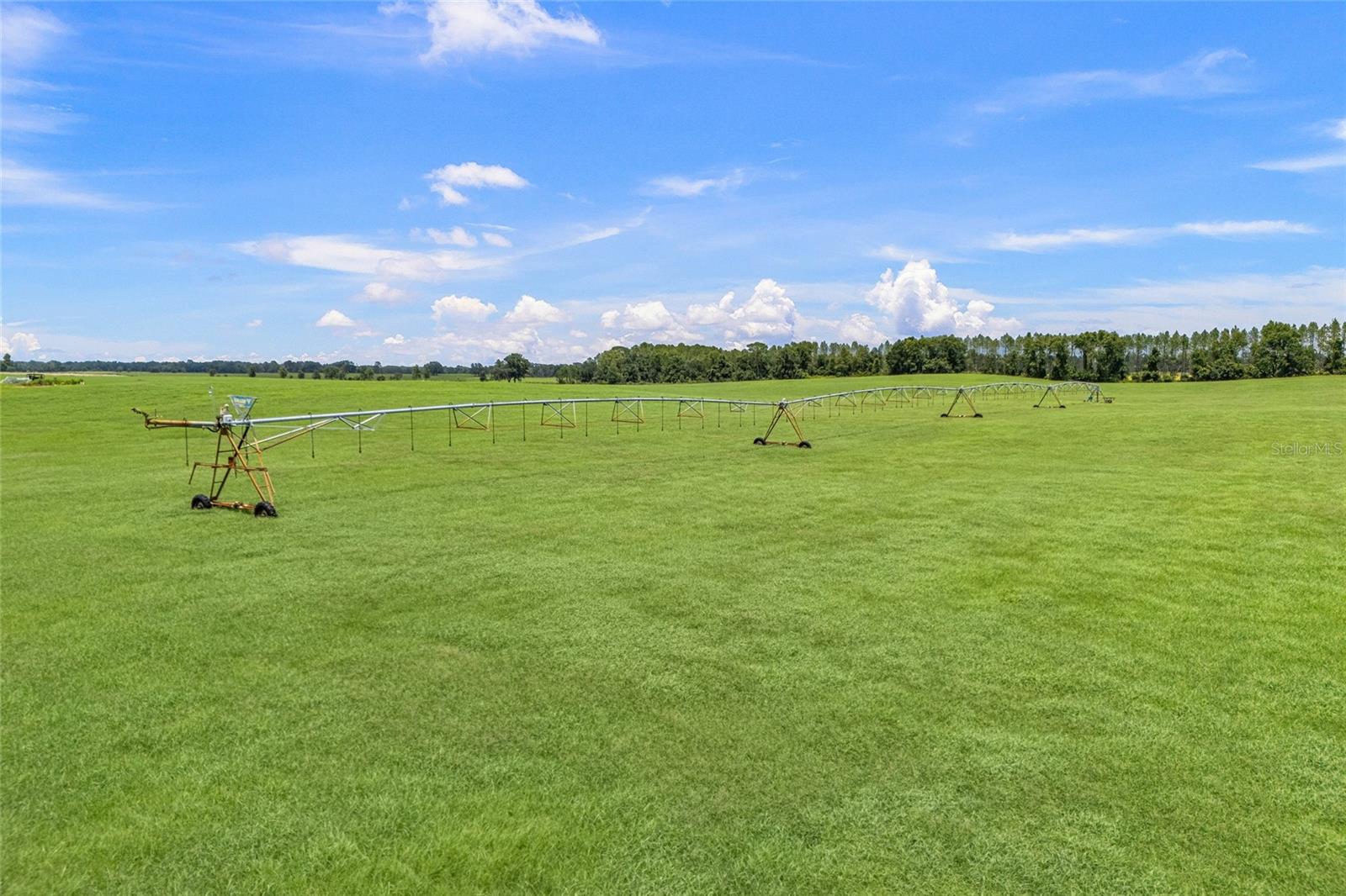 Image 6 of 12 For 7213 298th Street