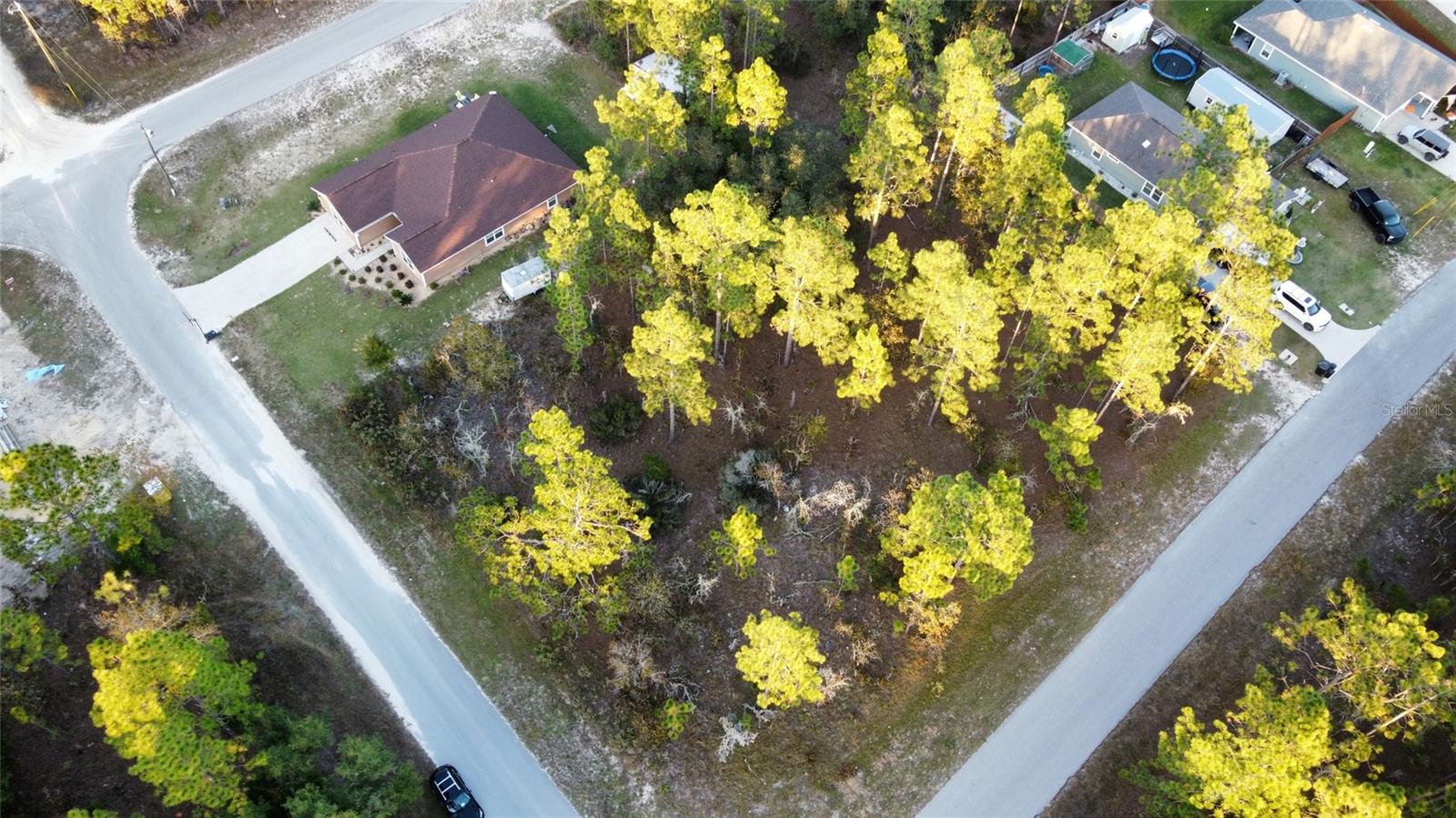 Details for 00 9th Street, WILLISTON, FL 32696