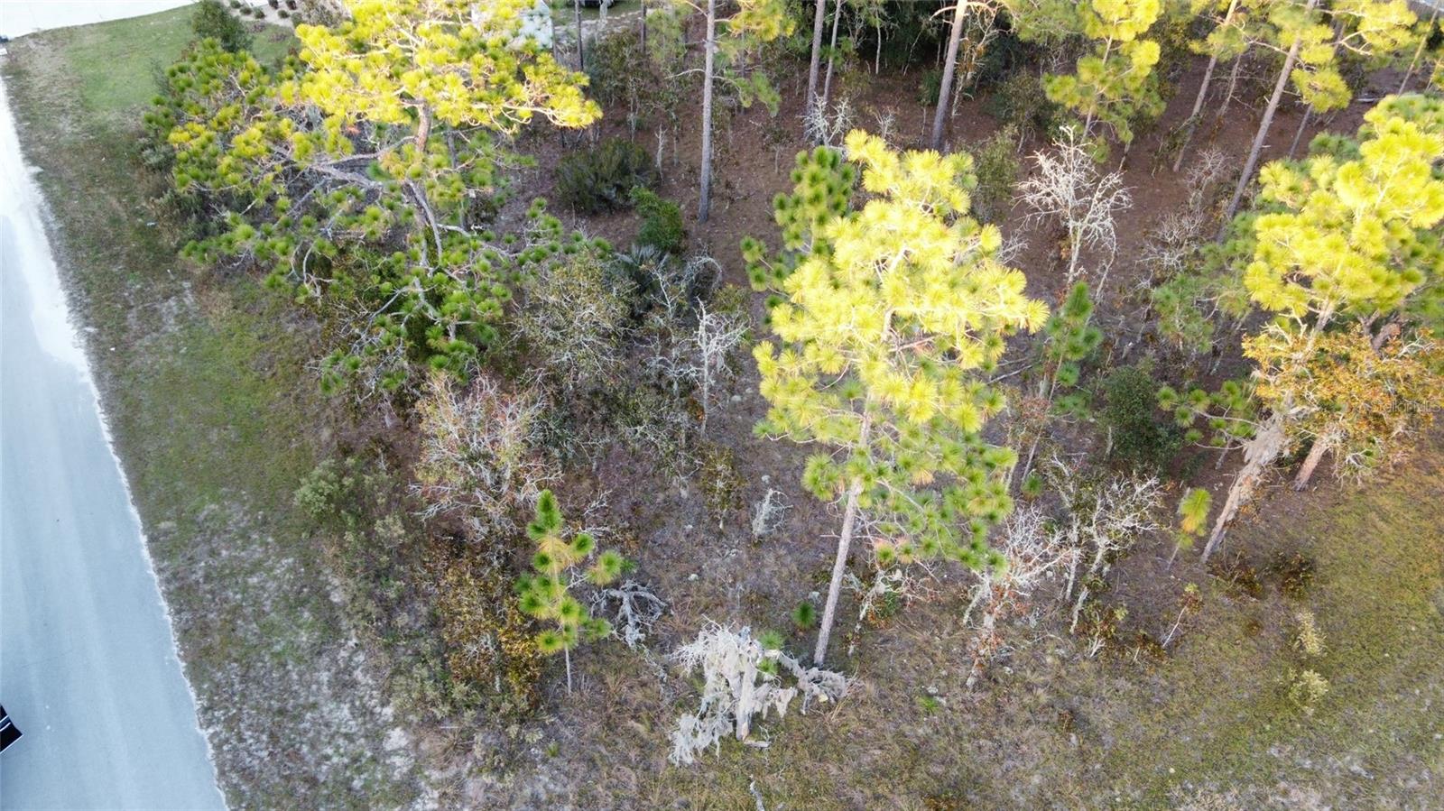 Image 3 of 8 For 00 9th Street