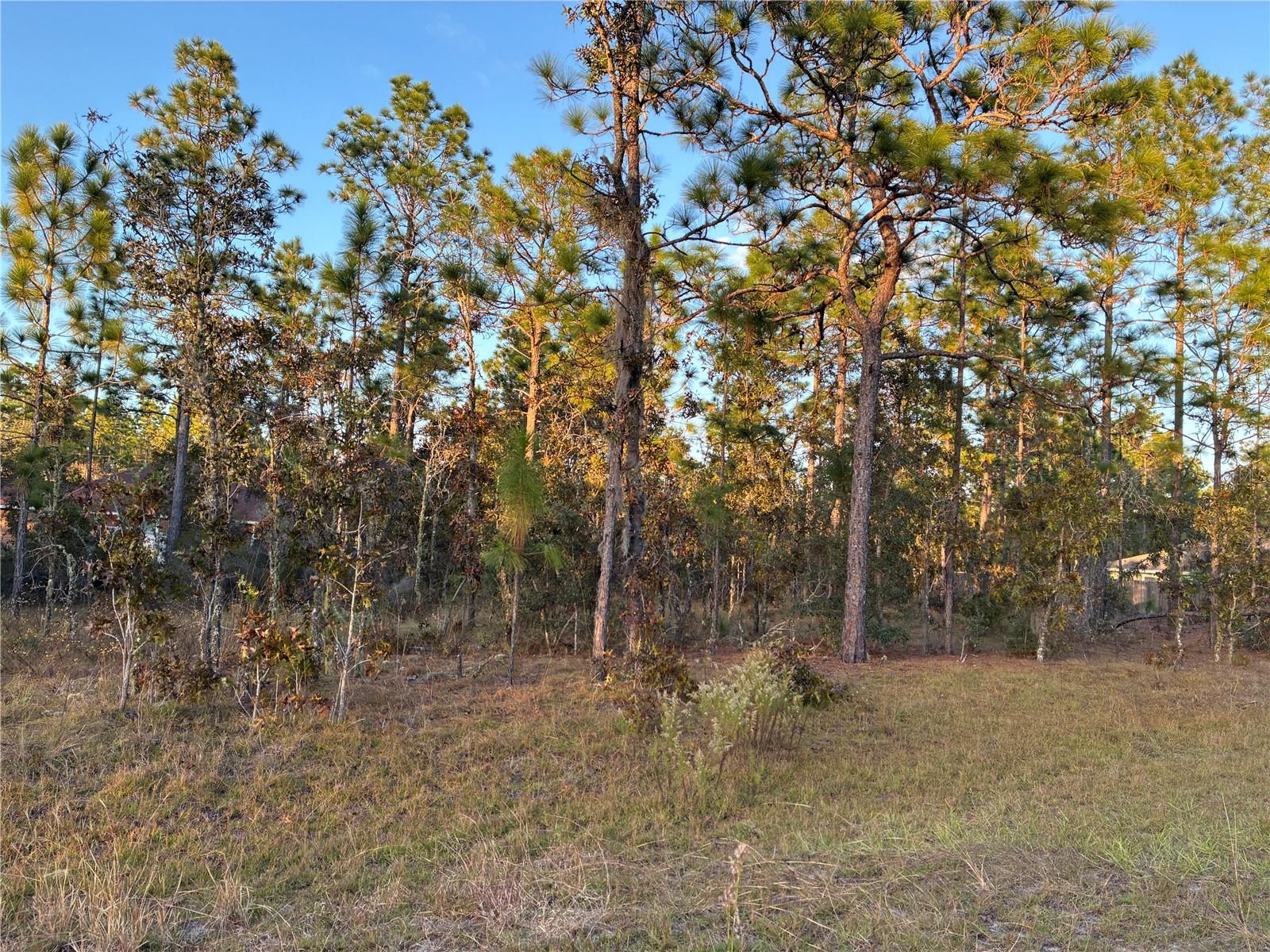 Image 6 of 8 For 00 9th Street