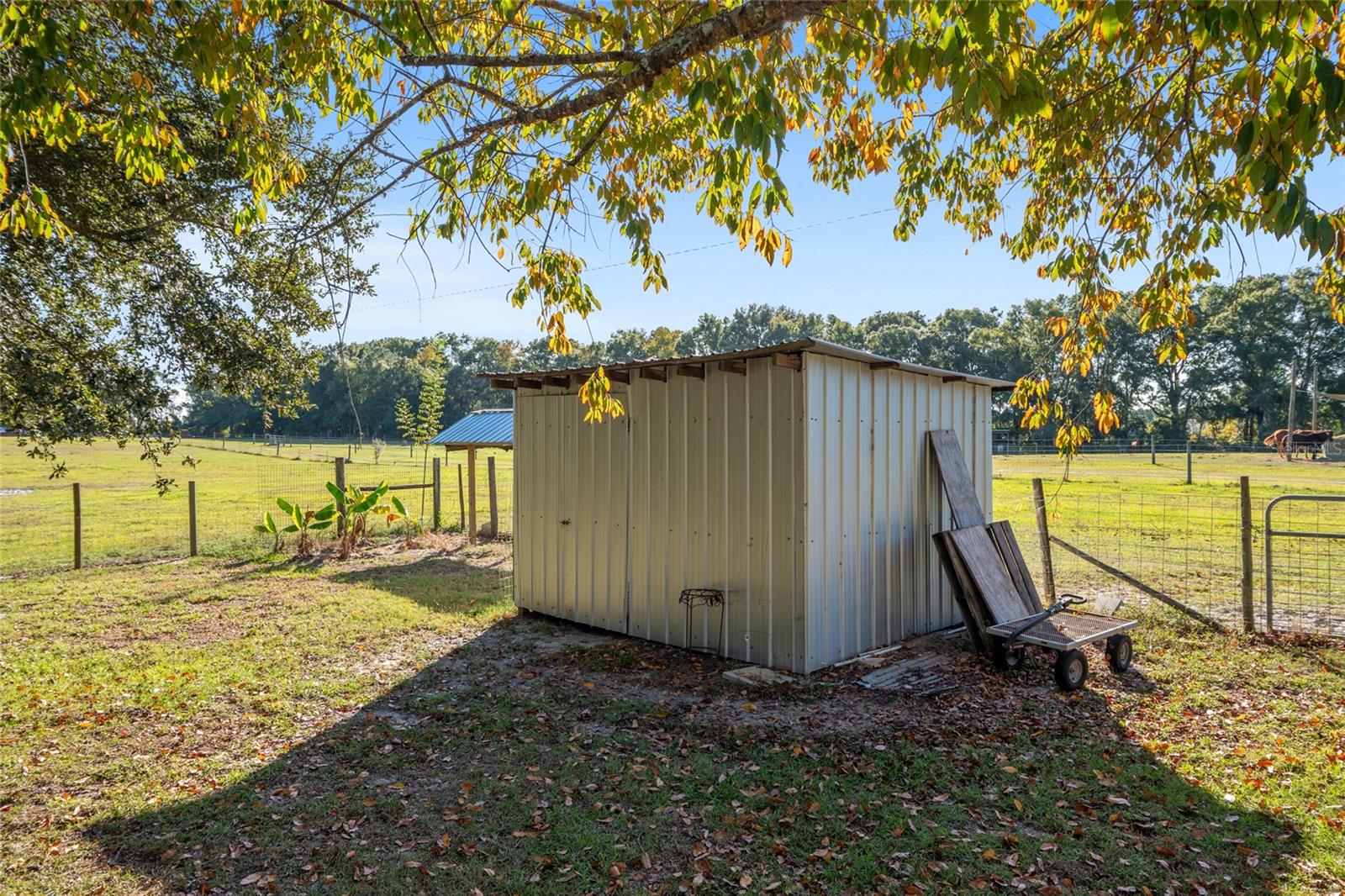 Image 43 of 57 For 760 Barney Street